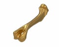 3D render of gold animal leg bone isolated on white