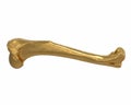 3D render of gold animal leg bone isolated on white