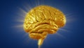 3d render golden brain with convolutions and a radiance of light