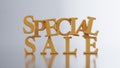 golden special sale text isolated on white background