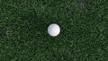 3d render A golf ball stands on the lawn