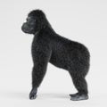 3d Render of Gorilla Royalty Free Stock Photo