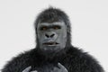 3d Render of Gorilla Royalty Free Stock Photo