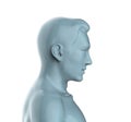 3d render of a gray male head.