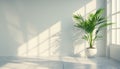 3d render, green plant in a pot on a white background. Empty white wall and copy space. Royalty Free Stock Photo