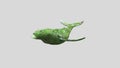 3d render of a green plant on whale flying isolated on gray background with Clipping Path.