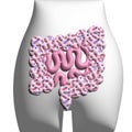 3d render Guts with Microbiome in the human body. Intestines on the background of the silhouette of the pelvis. Colon Royalty Free Stock Photo