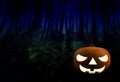 3D render of a halloween pumpkin Royalty Free Stock Photo