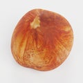 3d Render of Hazelnut Royalty Free Stock Photo