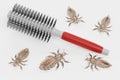 3d Render of Head Lice with Hairbrush