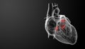 3d render Heart valve Royalty Free Stock Photo