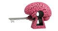 Brain with key isolated on white background Royalty Free Stock Photo