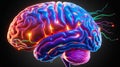 3D Render of the Human Brain in Stunning Detail - A Highly Realistic and Intricate Visualization of Neural Structure and Anatomy
