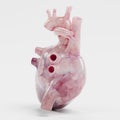 3d Render of Human Heart Royalty Free Stock Photo