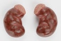 3D Render of Human Kidney Royalty Free Stock Photo
