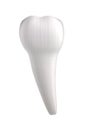 3d render of human tooth Royalty Free Stock Photo