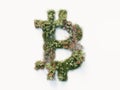 3D Render Illustration Bitcoin Crypto Currency Plant Decoration