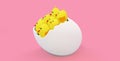3d render illustration for easter, chicks are sitting in Royalty Free Stock Photo