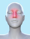 3d render illustration of female face with red inflammated nosal area Royalty Free Stock Photo