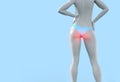 3d render illustration of female figure with haemorrhoids problem