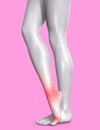 3d render illustration of female figure with red inflammated tarsal or ancle area Royalty Free Stock Photo