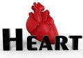 3D render illustration of a human heart Royalty Free Stock Photo