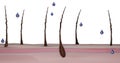 3d render illustration at the macro level drops fall into the structure of split hair scales,