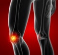 3D rendering illustration of patella