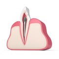 3d render of incisor tooth with dental metal post