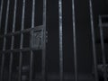 3d render of a prison cell door and lock