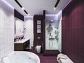 3d render interior design of a bathroom