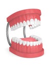3d render of jaw model with teeth over white Royalty Free Stock Photo