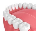 3d render of jaw model with teeth over white Royalty Free Stock Photo