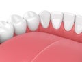 3d render of jaw model with teeth over white Royalty Free Stock Photo