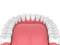 3d render of jaw model with teeth over white Royalty Free Stock Photo