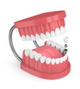 3d render of jaw with teeth and dental premolar implant