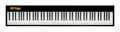 3d render 88 keys piano keyboard layout with music note symbol isolated on white background clipping path Royalty Free Stock Photo
