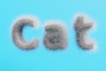 3D render. Lettering cat from white wool on a blue background.