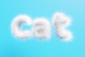 3D render. Lettering cat from white wool on a blue background.