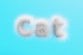 3D render. Lettering cat from white wool on a blue background.