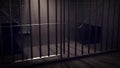 3D Render of locked prisoncell for two person with beds.