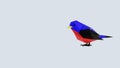 3d render low poly colorful bird Royalty Free Stock Photo