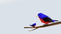 3d render low poly colorful bird Royalty Free Stock Photo