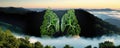 3d render of lungs in nature