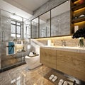 3d render luxury bathroom