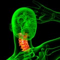 3d render medical illustration of the cervical spine Royalty Free Stock Photo