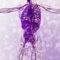 3d render medical illustration of the nerve system