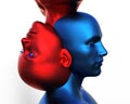 3d render. Merger of a male blue head and a red female head on a white background.