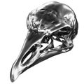 Metallic Bird Skull Royalty Free Stock Photo