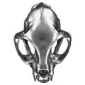 3D render of metallic Cat Skull